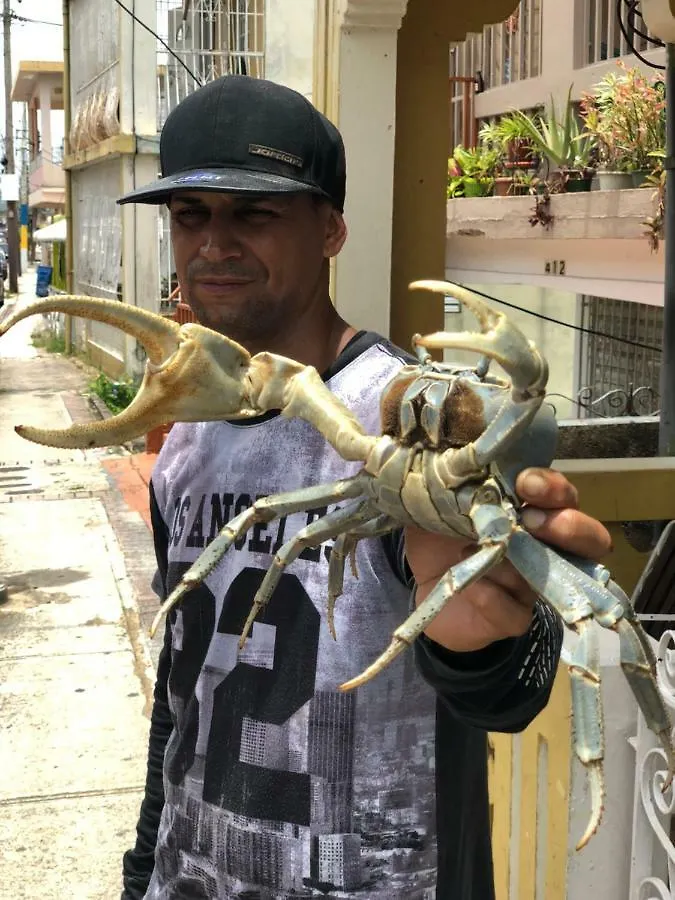 Surfer'S Hidden Gem By The Sea Hotel Aguadilla